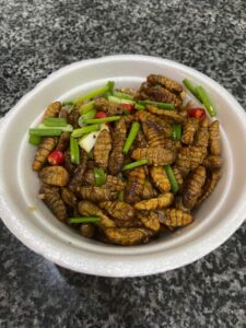 Worms, duc dude, or ដុកឌឿ